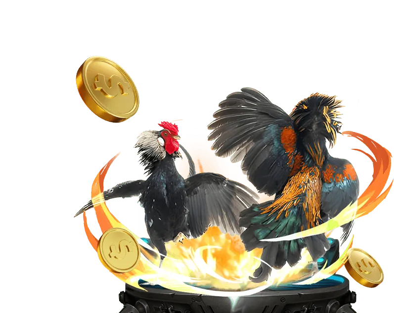 Các môn thể thao khác